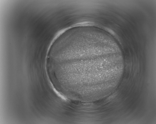 X0000066101421200603241506