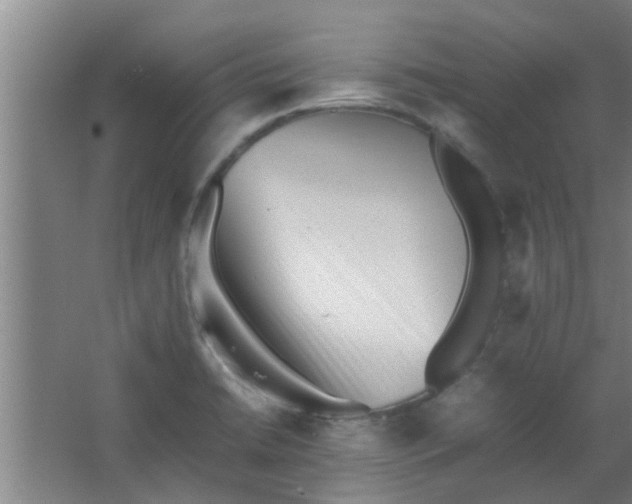 X0000066101422200603241506