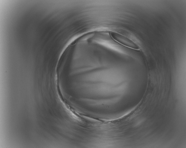 X0000066101428200603241506