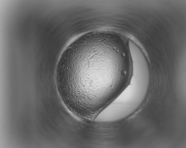 X0000066101429200603241506