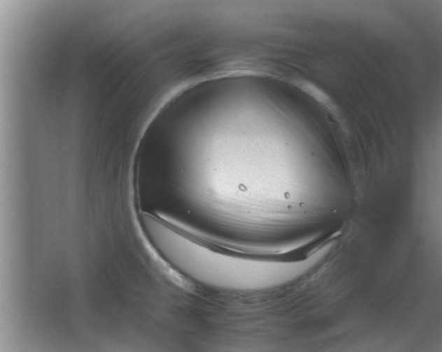 X0000066101431200603241506