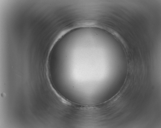 X0000066101432200603241506