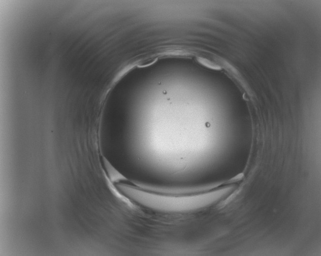 X0000066101433200603241506