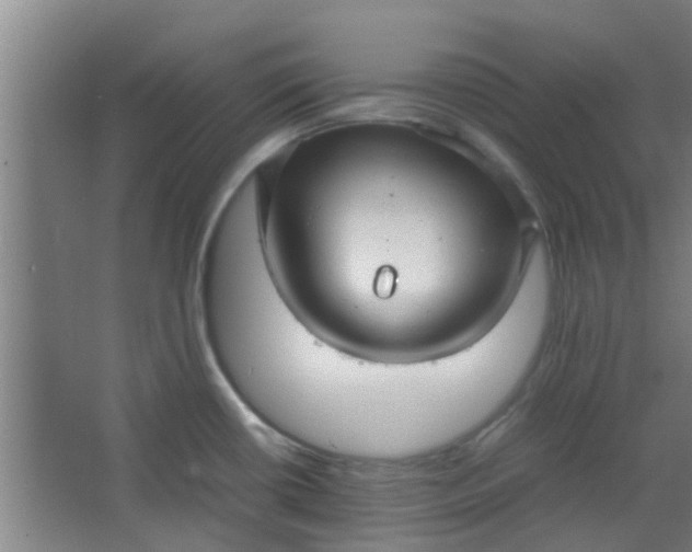 X0000066101434200603241506