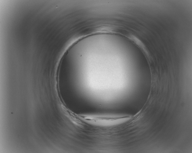 X0000066101435200603241506