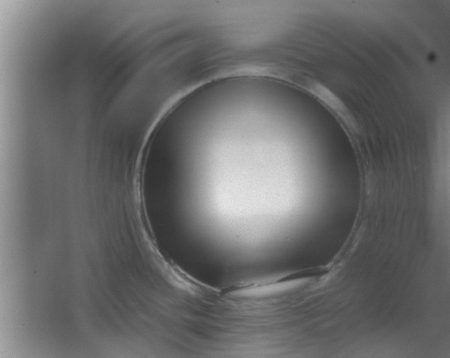 X0000066101436200603241507