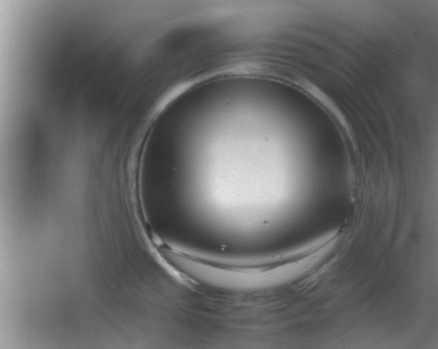 X0000066101437200603241507