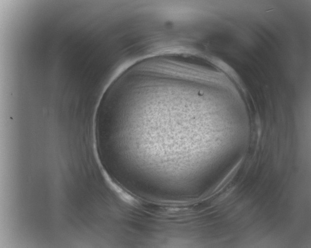 X0000066101439200603241507