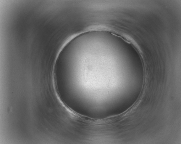 X0000066101440200603241507