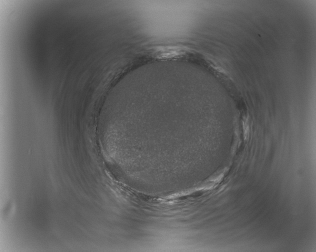 X0000066101441200603241506