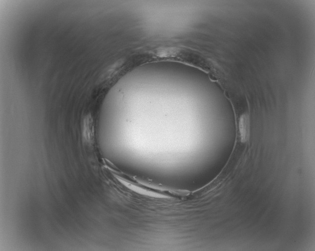 X0000066101443200603241506