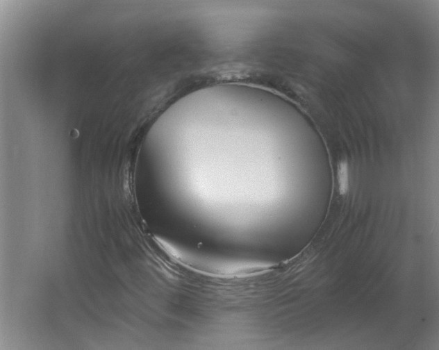 X0000066101444200603241506