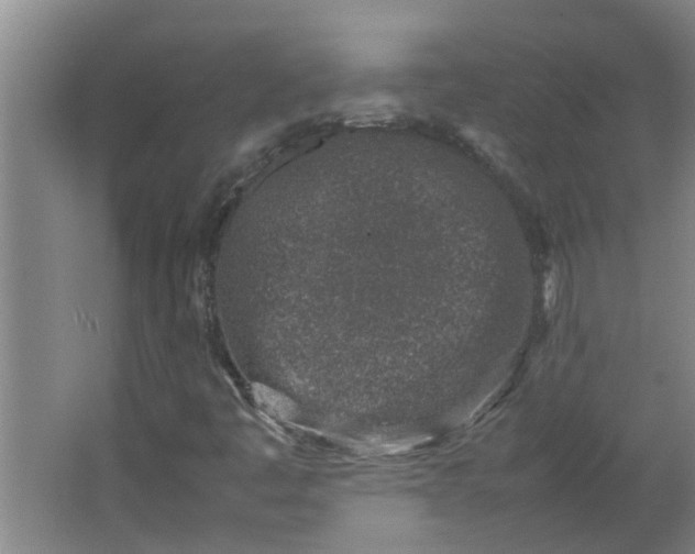 X0000066101445200603241506