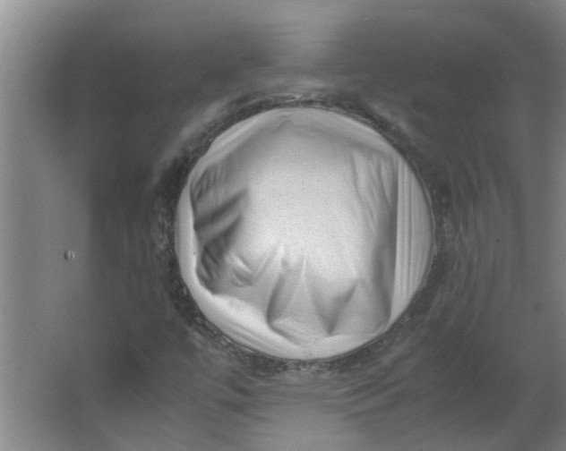 X0000066101447200603241506