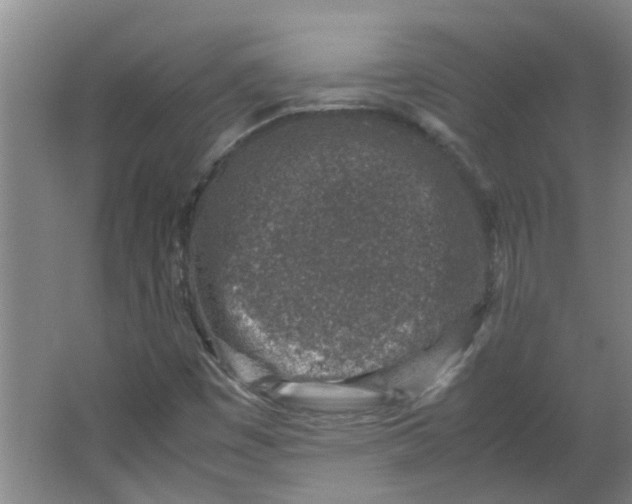 X0000066101449200603241506