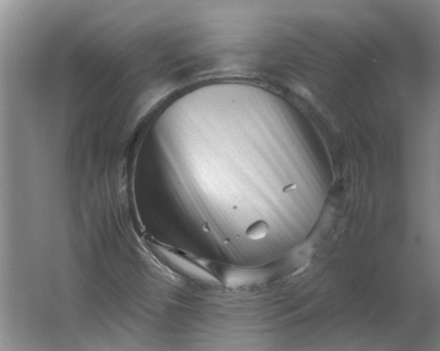 X0000066101450200603241506