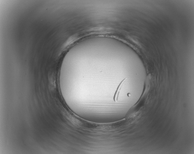 X0000066101451200603241506