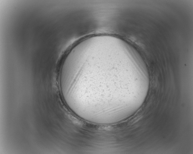 X0000066101454200603241506