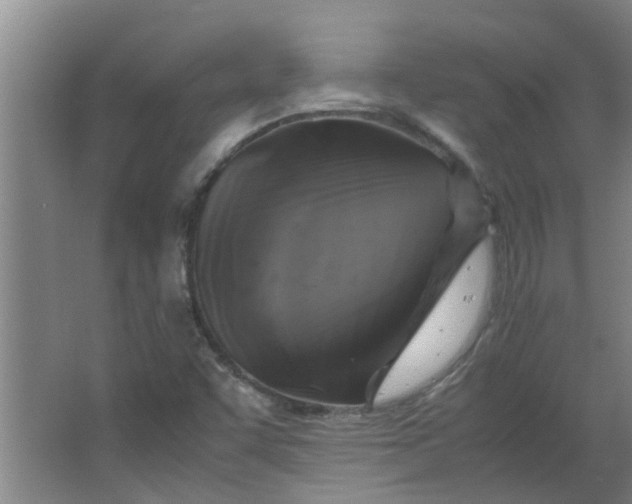 X0000066101455200603241506