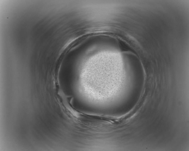 X0000066101457200603241505