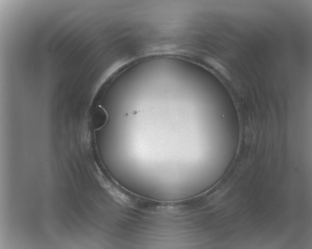 X0000066101458200603241505