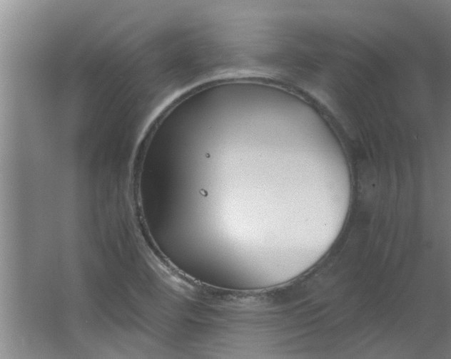 X0000066101460200603241505