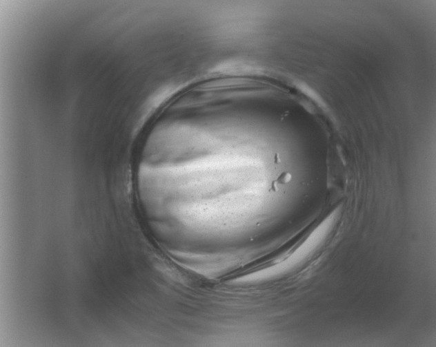 X0000066101461200603241505