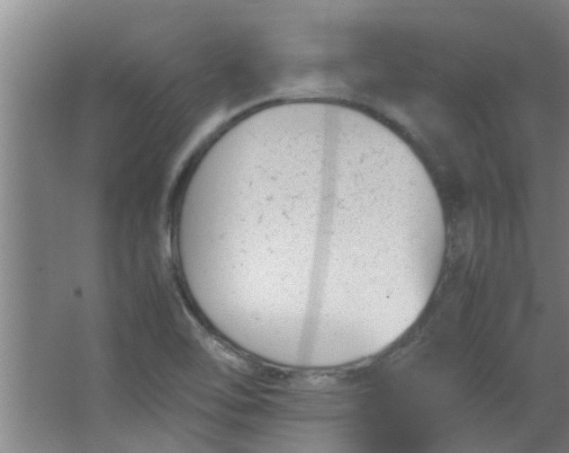 X0000066101462200603241505