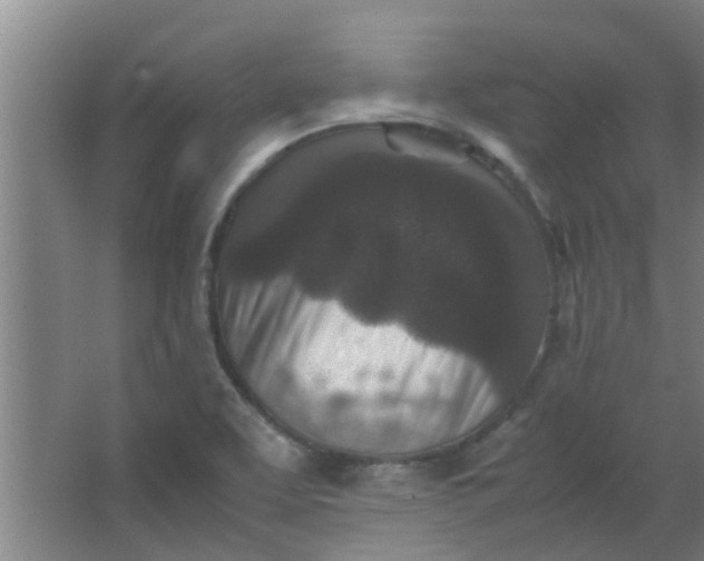 X0000066101463200603241505