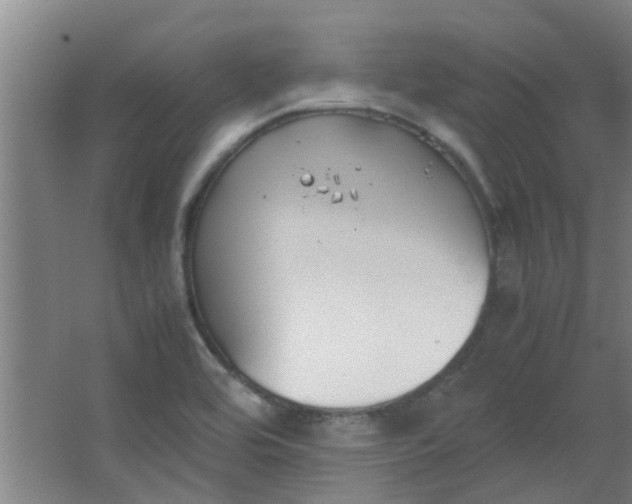 X0000066101464200603241505