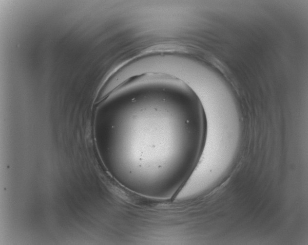 X0000066101465200603241505