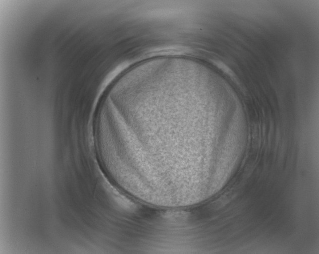 X0000066101466200603241505