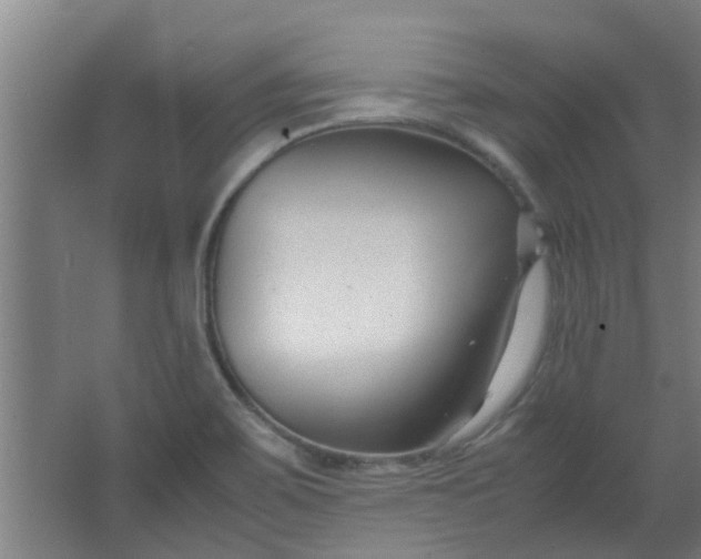 X0000066101467200603241505