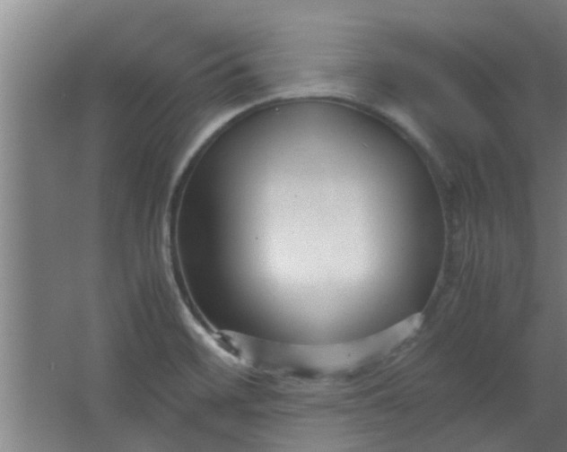 X0000066101468200603241505