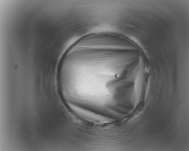 X0000066101469200603241505