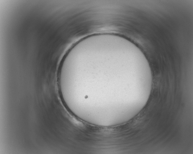 X0000066101470200603241505