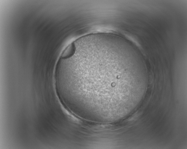 X0000066101471200603241505