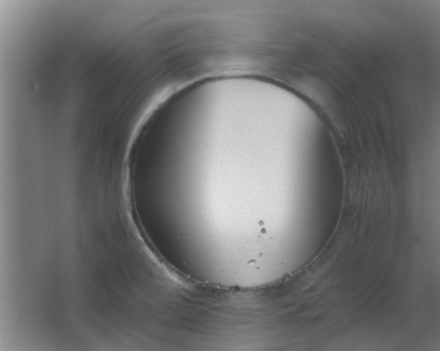 X0000066101472200603241505