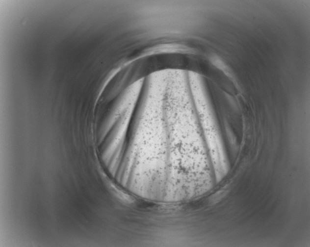 X0000066101473200603241505