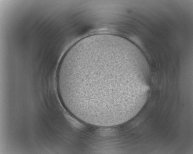 X0000066101474200603241505