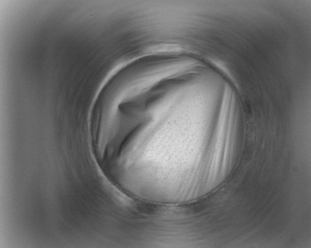 X0000066101475200603241505