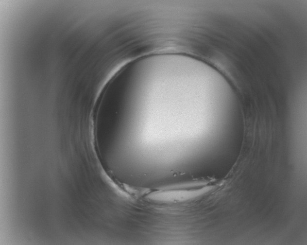 X0000066101476200603241505