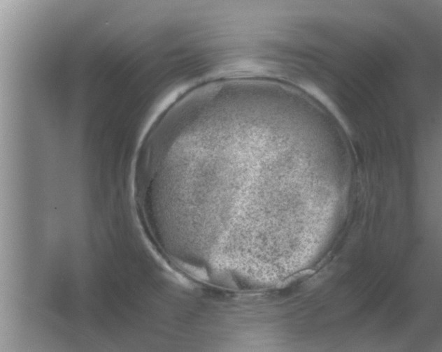 X0000066101477200603241505