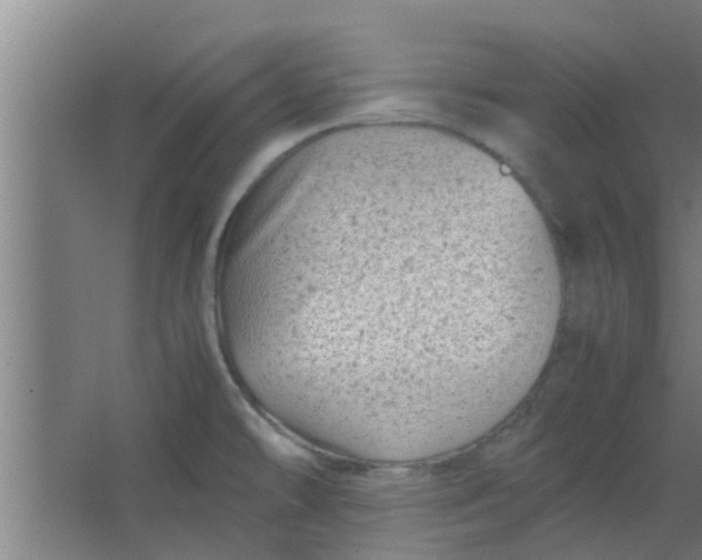 X0000066101478200603241505