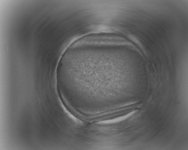 X0000066101479200603241505