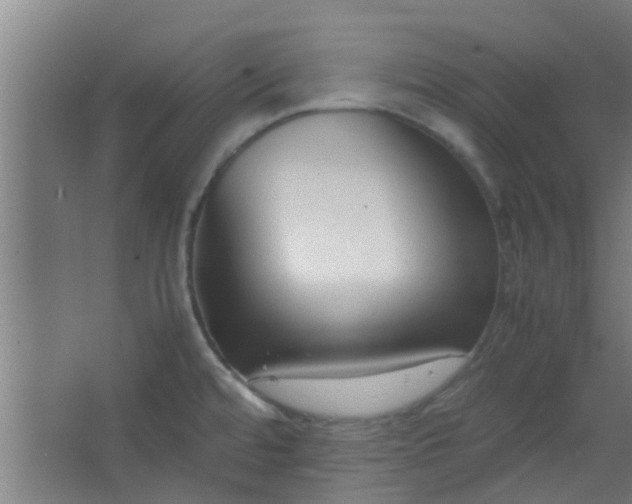 X0000066101480200603241505