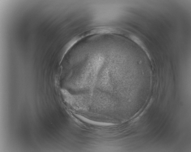 X0000066101481200603241505