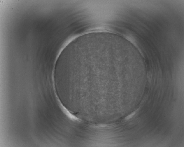 X0000066101482200603241505