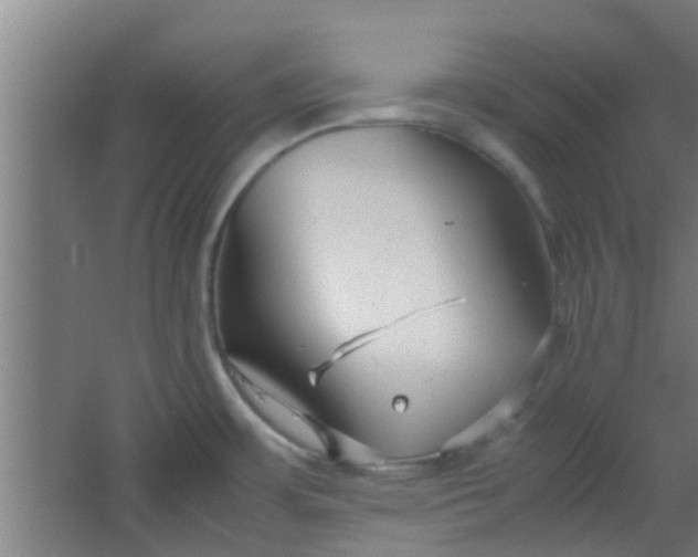 X0000066101483200603241505