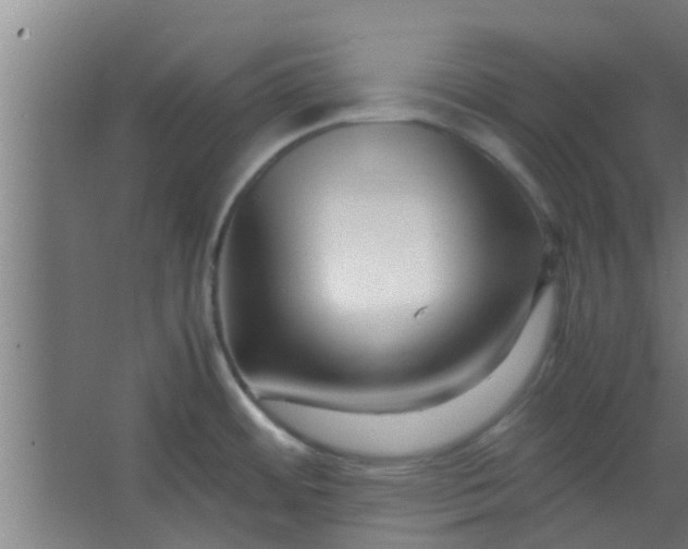 X0000066101484200603241505